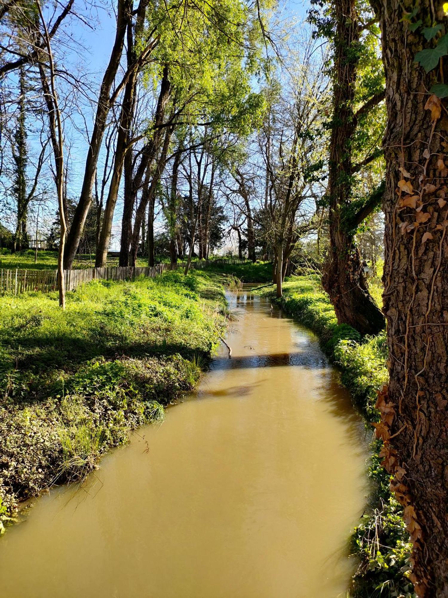 La Chamade En Beaujolais Bed & Breakfast Anse Luaran gambar